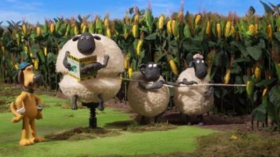 Shaun das Schaf: Der Mais ist reif!