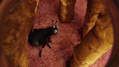 Shaun das Schaf: Flohzirkus