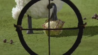 Shaun das Schaf: Gemüsefußball