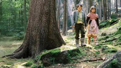 Sonntagsmärchen: Hänsel und Gretel