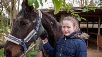 stark!: Evi - Mein altes Pferd Foxi