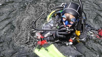 stark!: Freddy - Ich tauche nach Geisternetzen