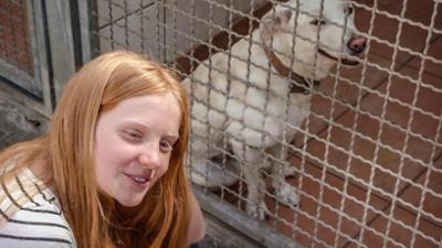 stark!: Paula - Neuer Hund, neues Glück!