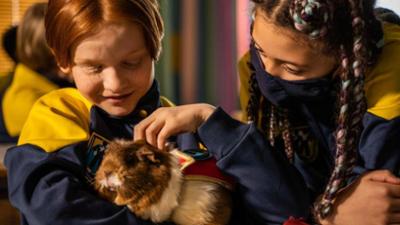 Superhero Academy: 21. Das verschwundene Meerschweinchen