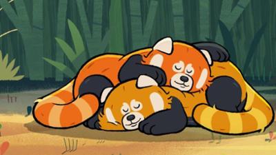 Taylors Welt der Tiere: Hochzeit mit Hindernissen