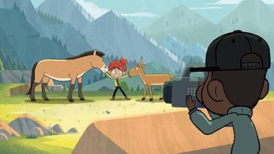 Taylors Welt der Tiere: Die fantastische Welt der Tiere