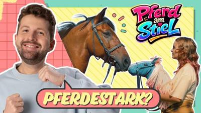 Team Timster: Pferd am Stiel: Hobby Horsing im Kino?