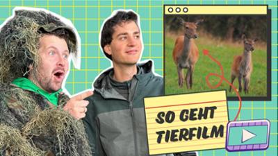 Team Timster: Wie werden Tierfilme gedreht?