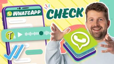 Team Timster: WhatsApp-Check! Chats, Kanäle, Tricks