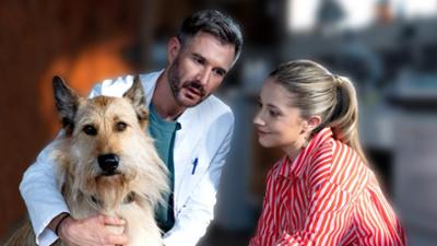 Tiere bis unters Dach: Hund ohne Namen Tiere bis unters Dach: Hund ohne Namen