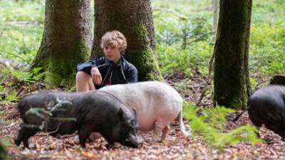 Tiere bis unters Dach: 102. So eine Schweinerei!