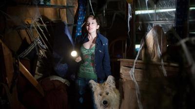 Tiere bis unters Dach: 26. Vampire
