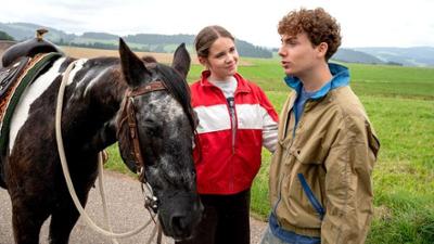 Tiere bis unters Dach: 141. Pferdeflüsterer