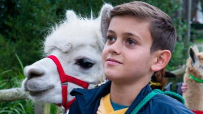 Tiere bis unters Dach: 113. Der verschwundene Pascha