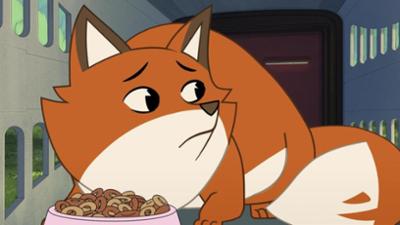 Törtel: Arge Ärzte-Ängste