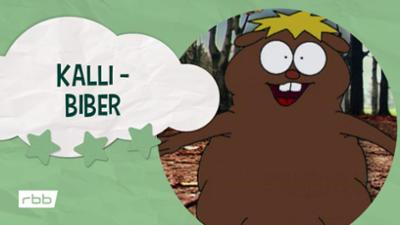 Unser Sandmännchen: Kalli - Biber | Unser Sandmännchen