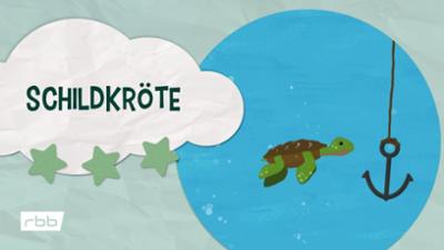 Unser Sandmännchen: Impressionen: Schildkröte
