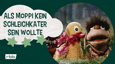 Unser Sandmännchen: Als Moppi kein Schleichkater sein wollte | Unser Sandmännchen