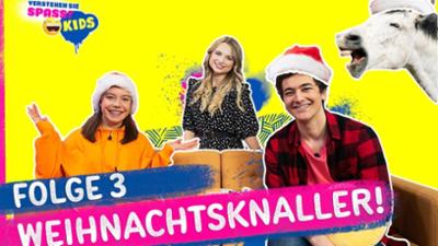 Verstehen Sie Spaß?: Weihnachtsknaller mit Lisa Küppers