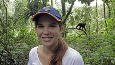 Wilde Tiere Reportagen: Auf den Spuren der Berggorillas