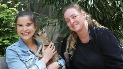 Wilde Tiere Reportagen: Ist das Reh die Frau vom Hirsch?