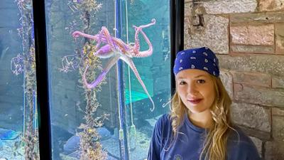 Wilde Tiere Reportagen: Unterwasserkino für den Oktopus