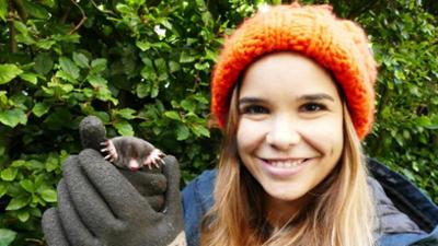 Wilde Tiere Reportagen: Warum buddelt der Maulwurf?