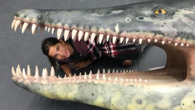 Wilde Tiere Reportagen: Die gigantischen Meeressaurier