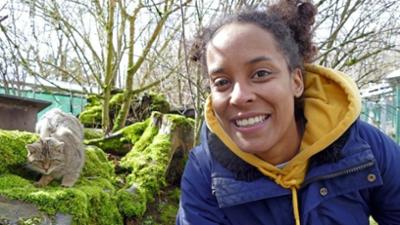 Wilde Tiere Reportagen: Wie wild ist die Wildkatze?