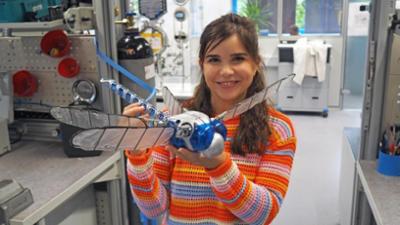 Wilde Tiere Reportagen: Superinsekt Libelle