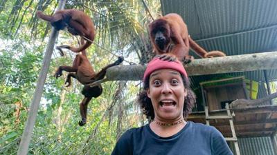 Wilde Tiere Reportagen: Laut, lauter, Brüllaffe!