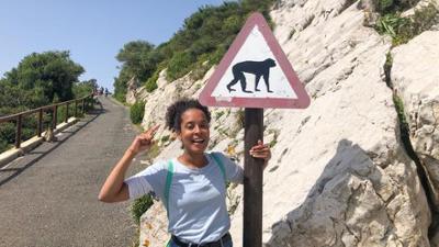 Wilde Tiere Reportagen: Die Affenbande von Gibraltar