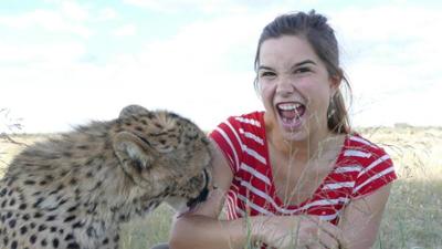 Wilde Tiere Reportagen: So jagt der Gepard