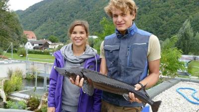 Wilde Tiere Reportagen: Störfall an der Donau