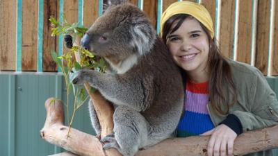 Wilde Tiere Reportagen: Voll süß, Koala!
