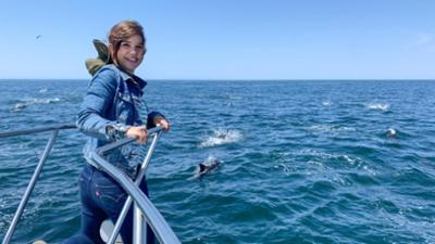 Wilde Tiere Reportagen: Wie sprechen die Wale?