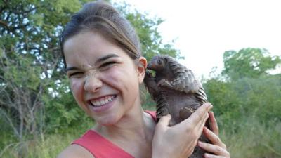 Wilde Tiere Reportagen: Das Tannenzapfentier