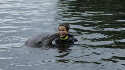 Wilde Tiere Reportagen: Wie pupst der Delfin?