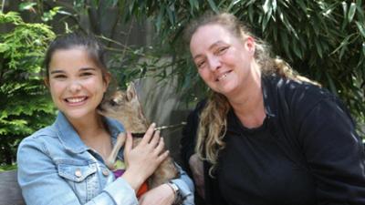 Wilde Tiere Reportagen: Ist das Reh die Frau vom Hirsch? Wilde Tiere Reportagen: Ist das Reh die Frau vom Hirsch?