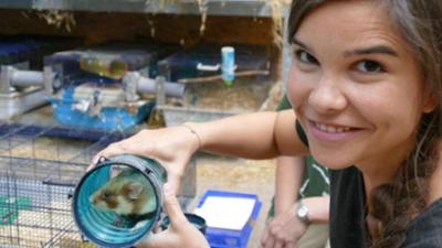 Wilde Tiere Reportagen: Wenn Feldhamster umziehen Wilde Tiere Reportagen: Wenn Feldhamster umziehen