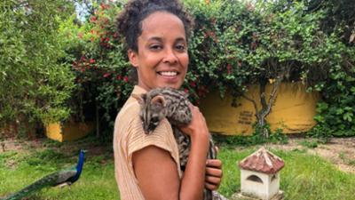 Wilde Tiere Reportagen: Heimlich schleicht die Ginsterkatze Wilde Tiere Reportagen: Heimlich schleicht die Ginsterkatze