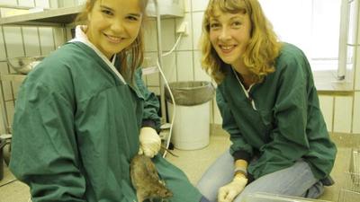 Wilde Tiere Reportagen: Wer lässt die Maus raus?