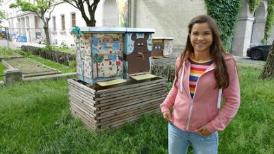 Wilde Tiere Reportagen: Wilde Tiere in der Stadt