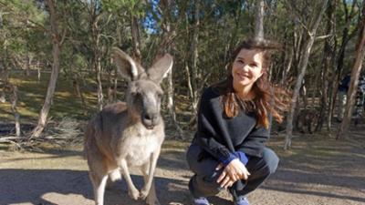 Wilde Tiere Reportagen: Boxen mit dem Känguru