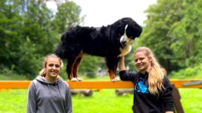 #WIR - Freundschaft grenzenlos: Mobility: Training mit dem Hund #WIR - Freundschaft grenzenlos: Mobility: Training mit dem Hund