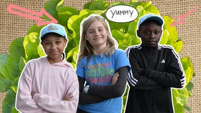 Young Gemüse Coach: Salat im Pyramidenbeet