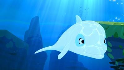 Zoom - Der weiße Delfin: Die verschwundene Schildkröte