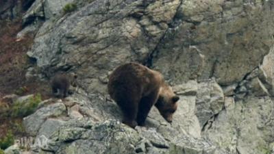 Biwak - Abenteuer Tatra: Folge 3: Biwak - Abenteuer Tatra (S07/E03)