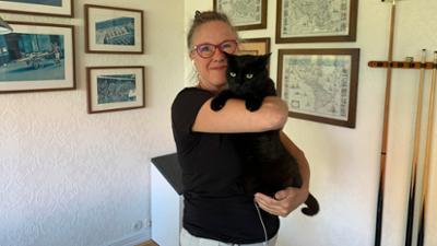 Das geheime Wesen der Katzen
