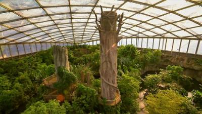 Das Gondwanaland in Leipzig: Urwald in der Großstadt